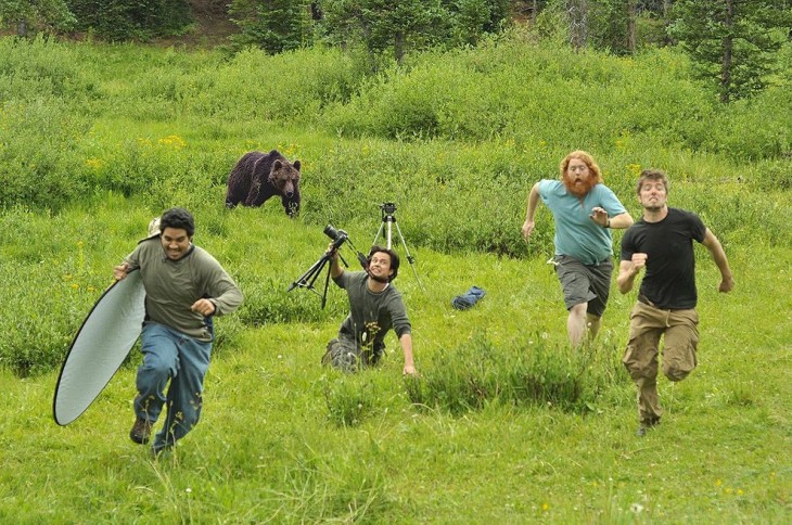 Fotógrafos perseguidos por un oso 