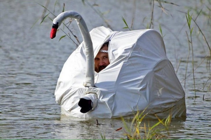 Fotógrafo disfrazado de cisne 