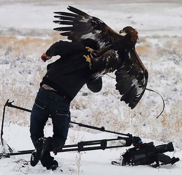 Fotógrafo atacado por un águila 
