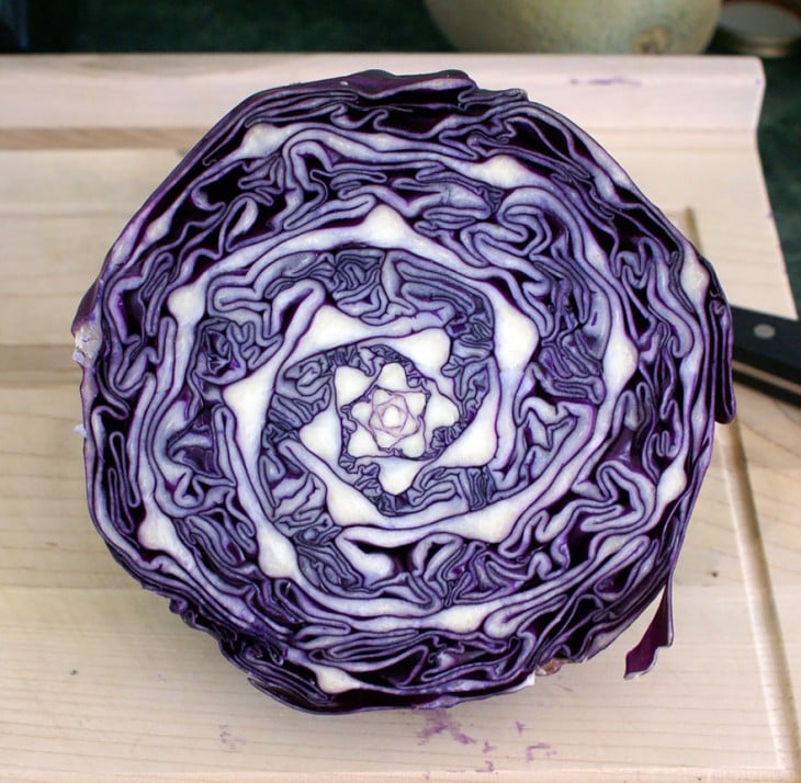 Geometría de un repollo morado 