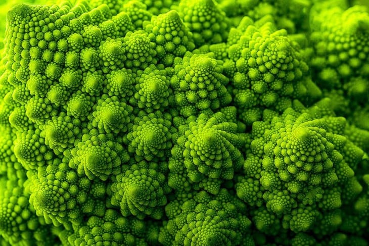 Geometría de un brócoli 