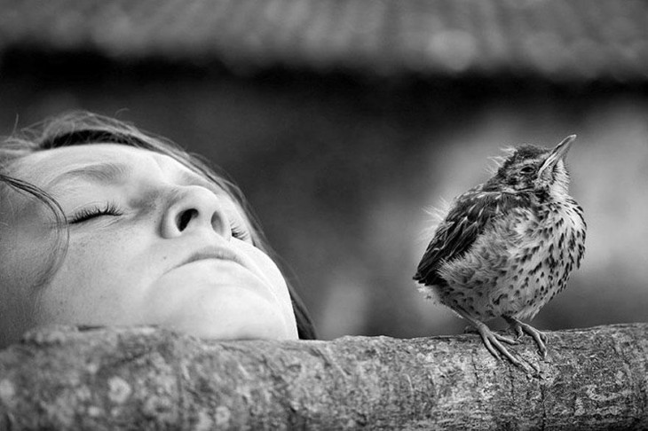 Cara de una niña volteando hacia arriba a un costado de un pájaro 