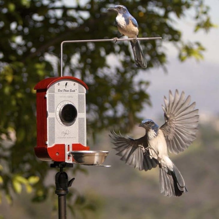 Comedero para pájaros con cámara 