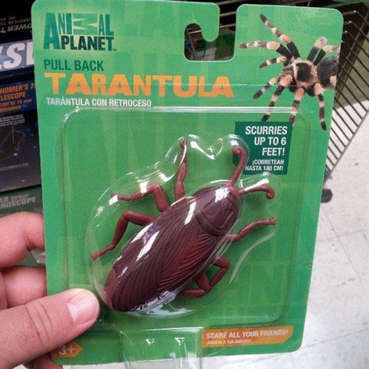 Empaque de tarántula con una cucaracha de plástico 