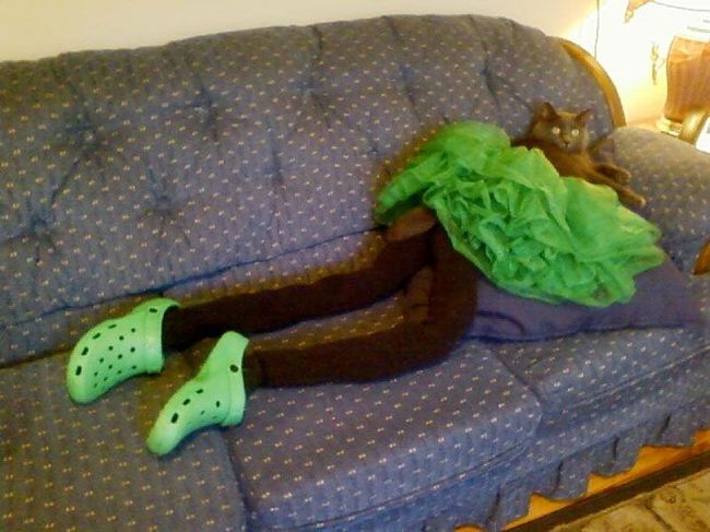 Gato con falda y zapatos verdes 