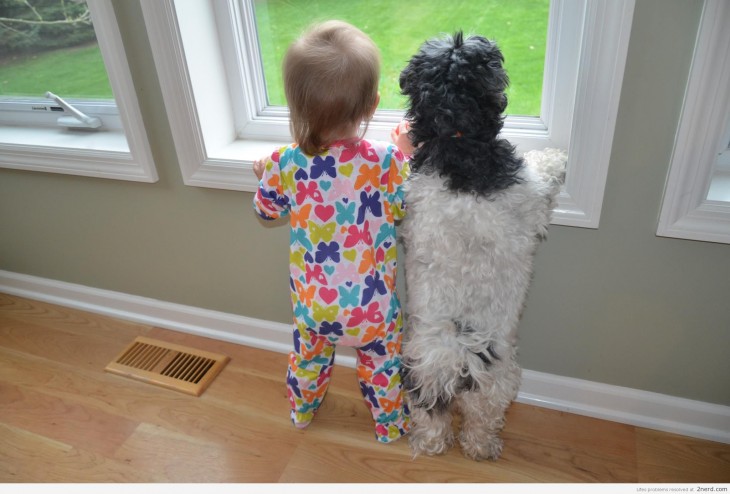 Niño junto a perro mirando por la ventana