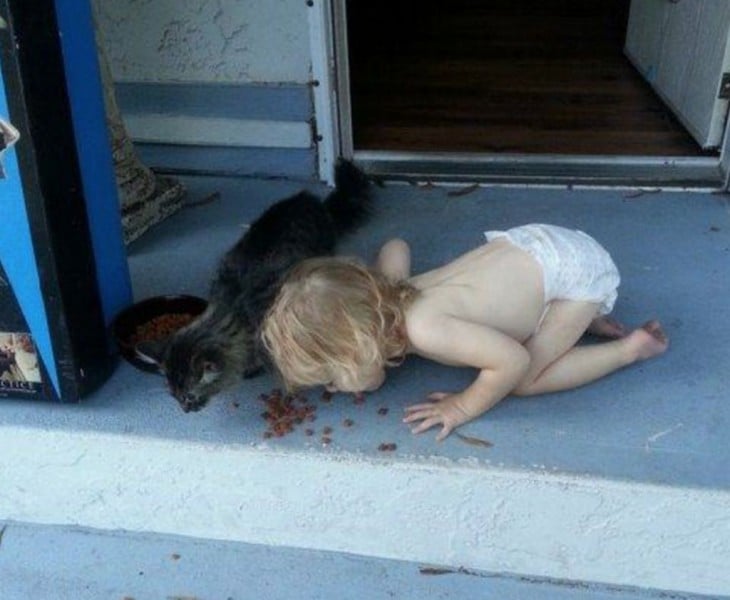 Niño comiendo alimento para gatos, junto a gato