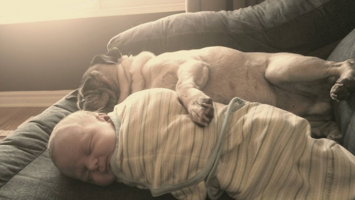 bebe duerme aabrazado a un perro