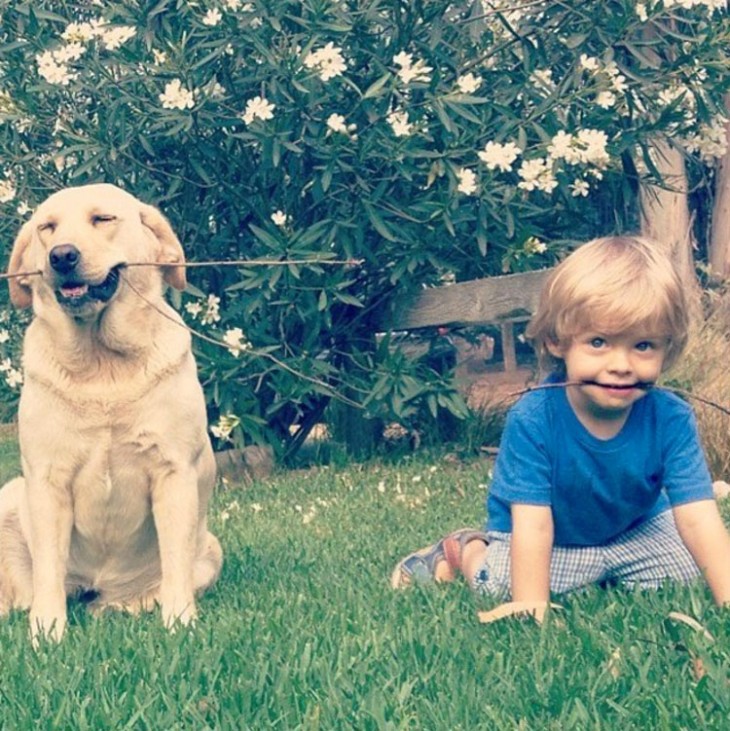 Niño junto a un perro