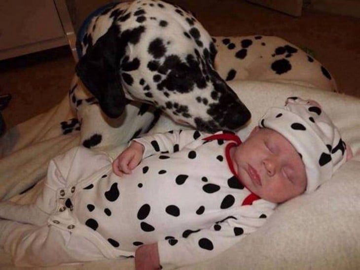 bebe con perro dalmata