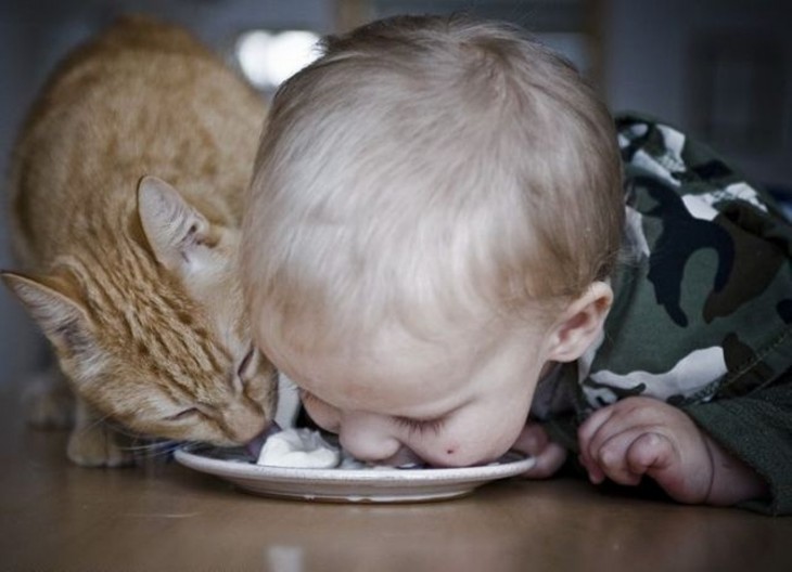 Niño comiendo alimento para gatos, junto a gato