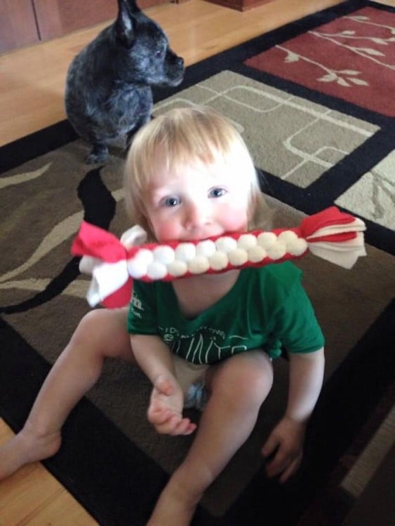 Niño con juguetes de hueso de perro