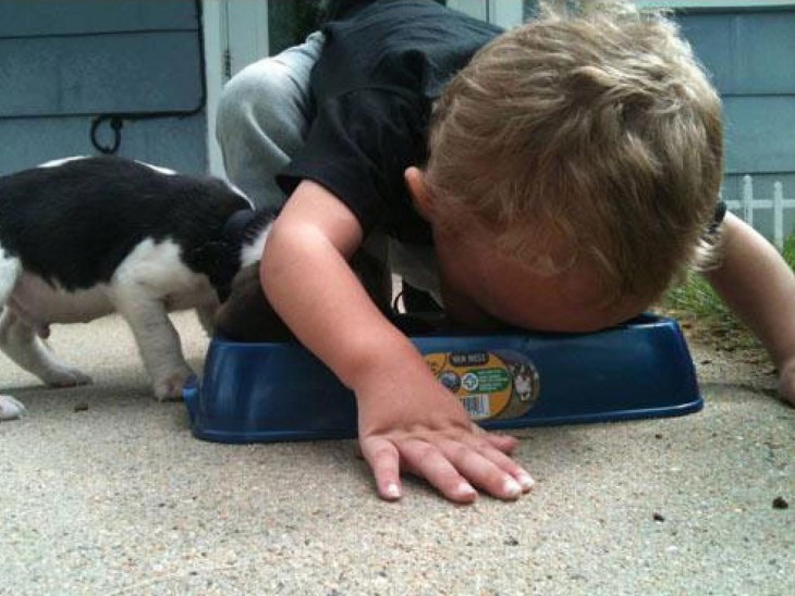 Niño comiendo alimento para gatos, junto a gato
