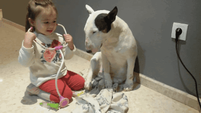 GIF de niña checando a su perro 