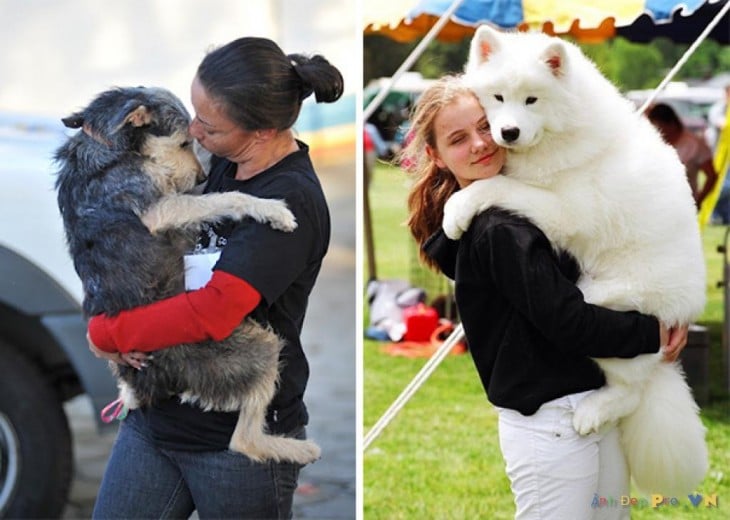 mujeres abrazando a sus perros