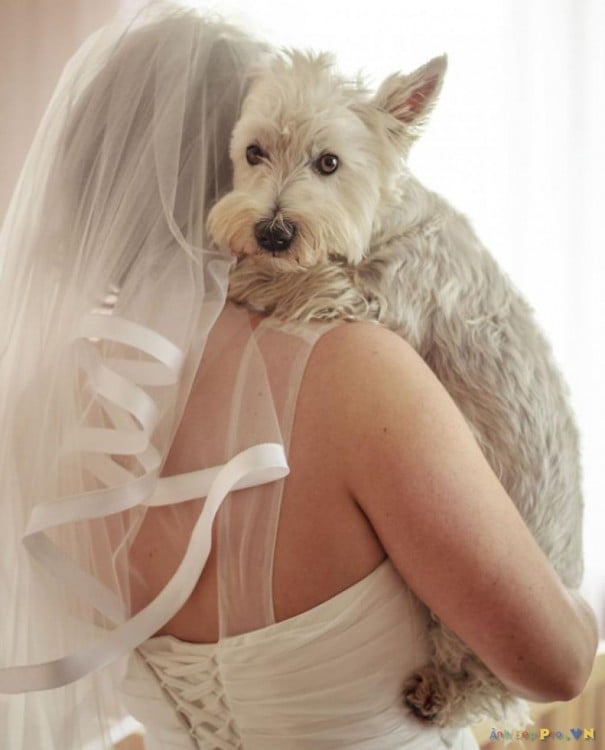 perro abrazando a esposa