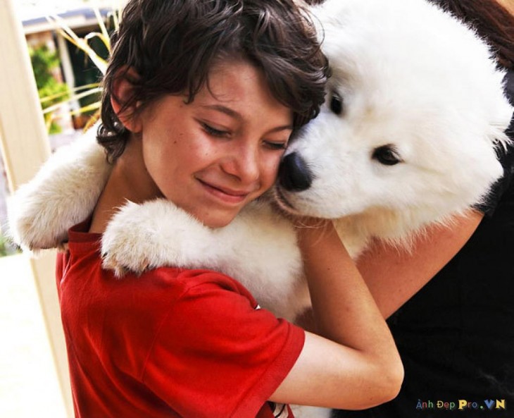 perro blanco con un nene