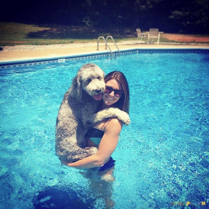 perro y mujer en la piscina
