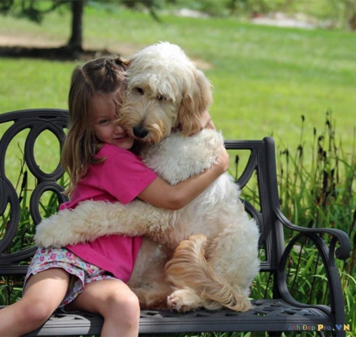 perro abrazando a nena en banco