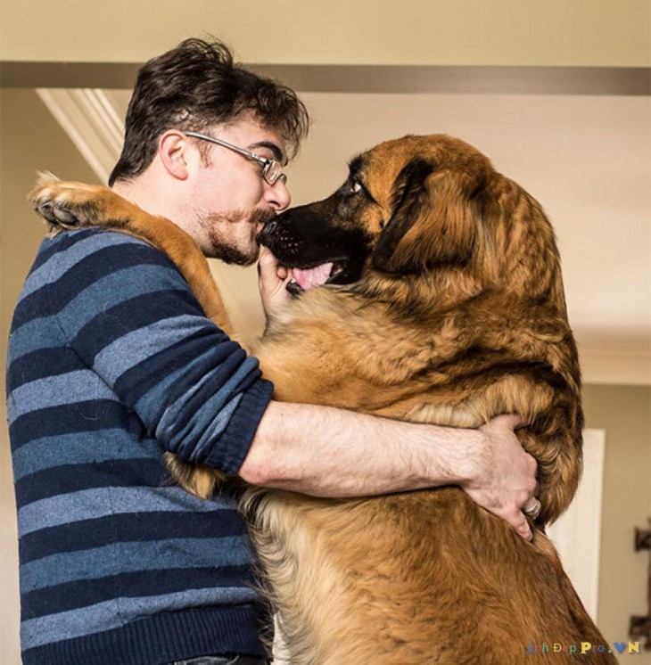 hombre y perro  dandose un piquito