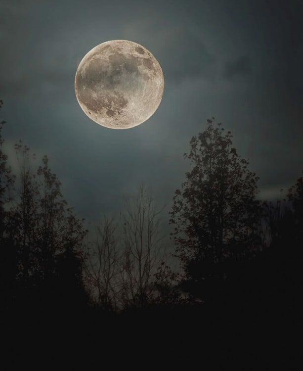Paisaje con árboles y luna 