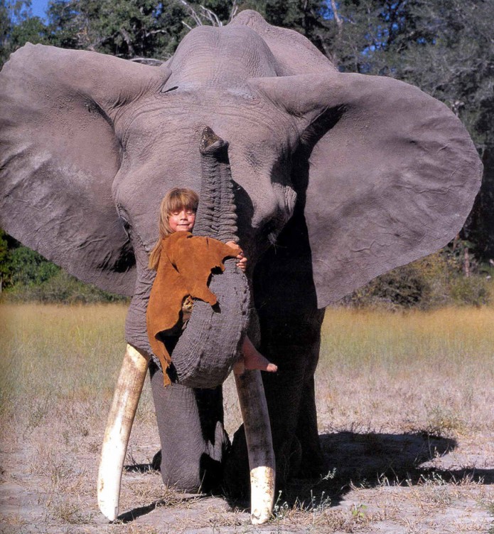 Evo el elefante mejor amigo de tippi