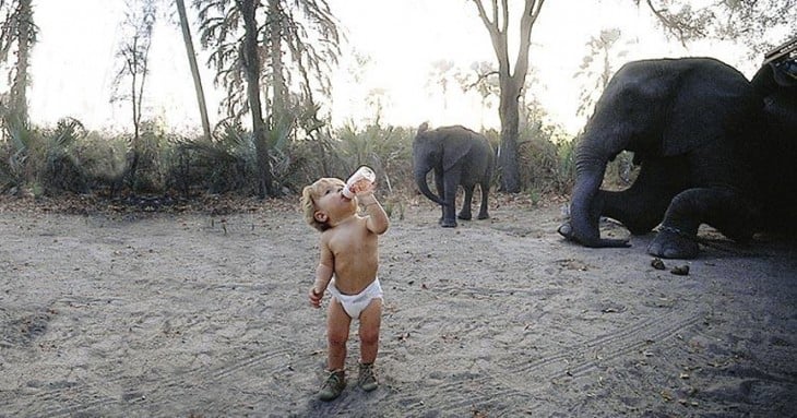 tippi tomando biberon frente a los elefantes