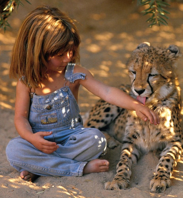 tippi con un guepardo como amigo