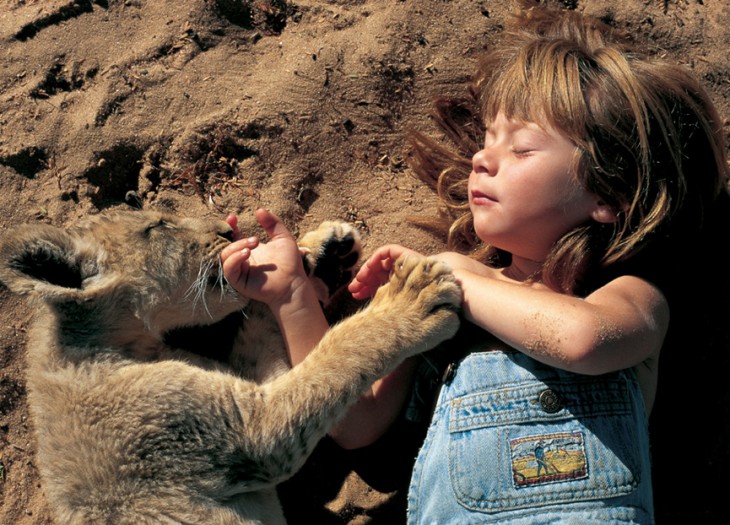 tippi conviviendo con un león bebé