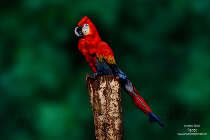 Bodypaint Johannes Stötter de guacamaya