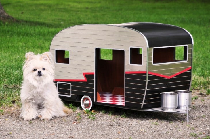 casa movil para perro chiquito en forma de 