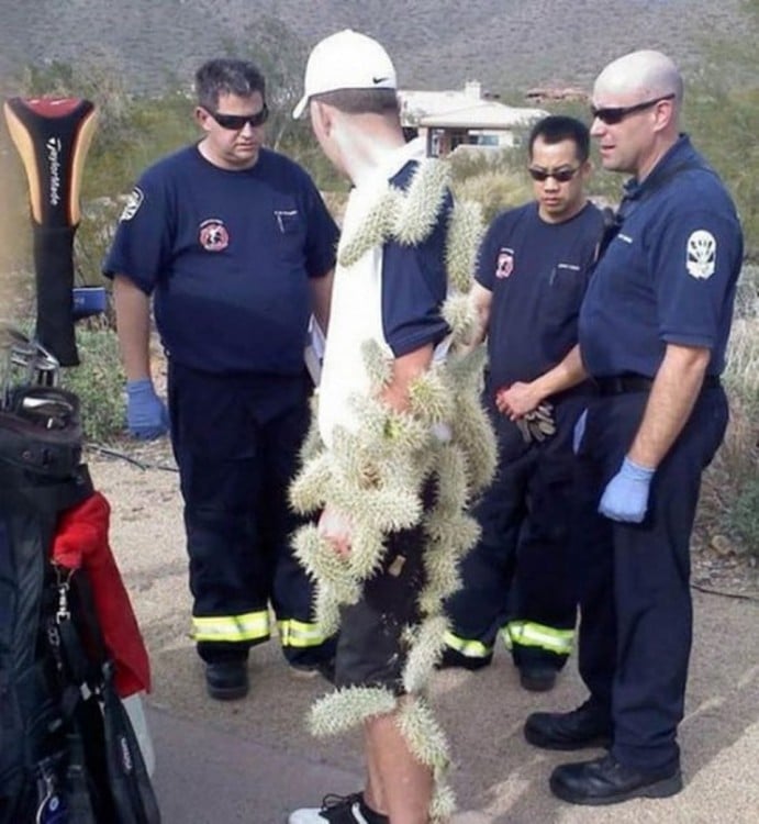 chico lleno de cactus en la ropa