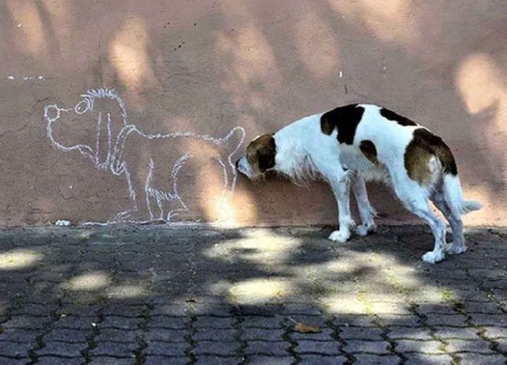 perro huele trasero de un graffiti