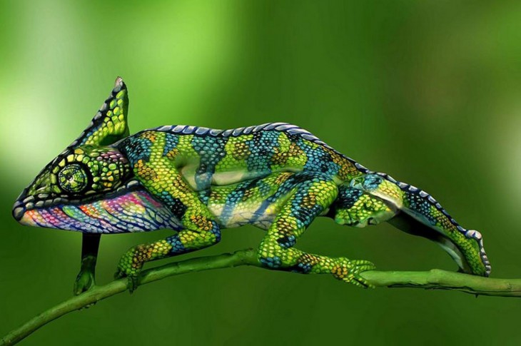 El arte camaleonica de stötter dos mujeres en bodypaint forman un camaleon