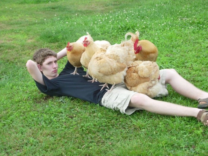 chico sobre la hierba con 4 gallinas
