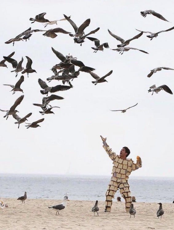 sujeto rodeado de gaviotas