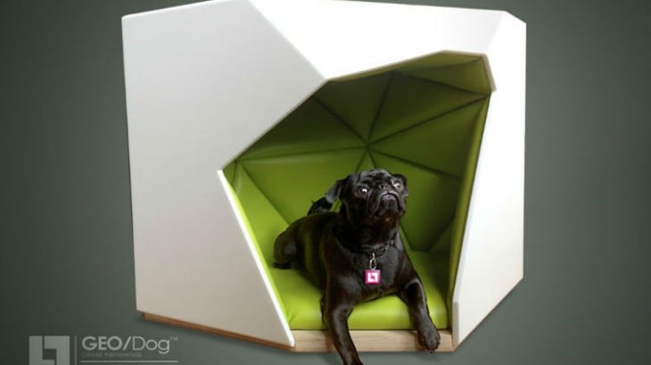 perro negro denro de una casa blanco con verde de en forma de triangulos