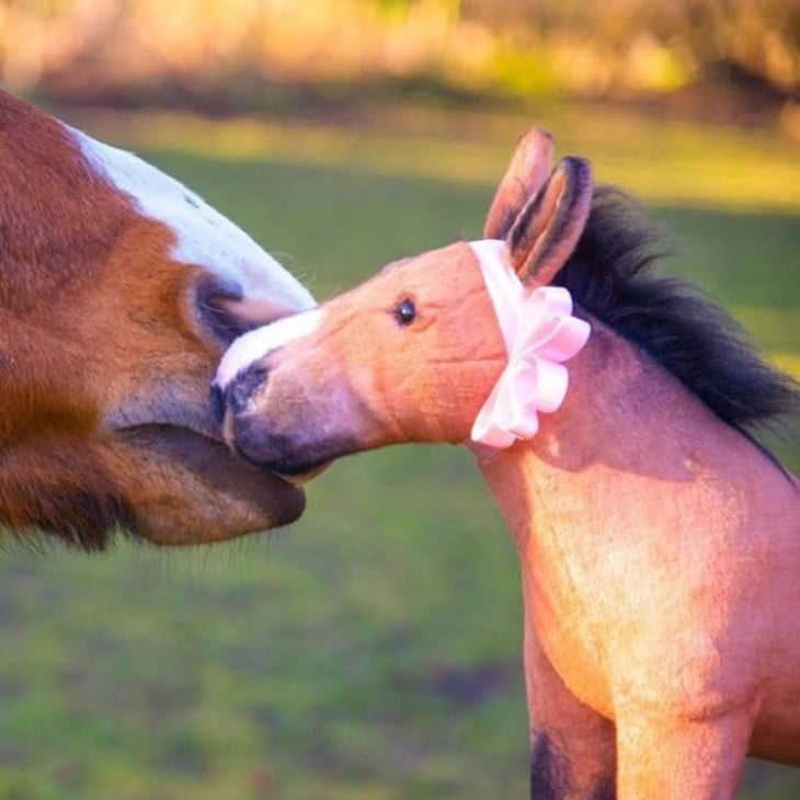 caballo con su peluche identico