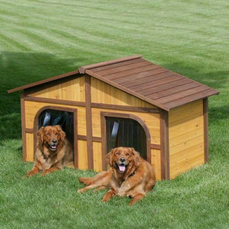 casa para dos perros hecha de madera