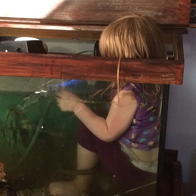 niña esta dentro de la pecera para jugar de mas cerca con los peces
