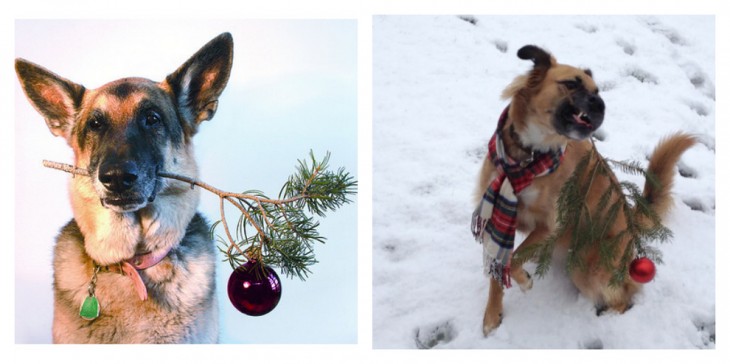 PERRO MORDIENDO EL PINITO DE NAVIDAD FALSO PARA PINTEREST