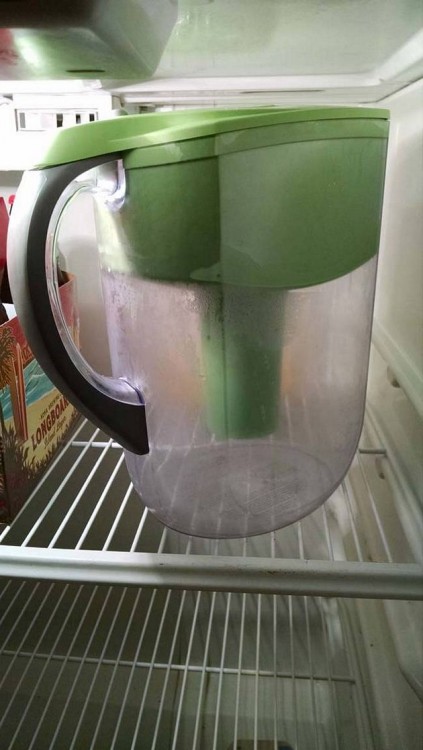 jarra para el agua vacía dentro del refrigerador