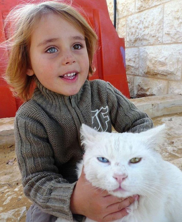 gato y niño israelí coinciden con heterocromía