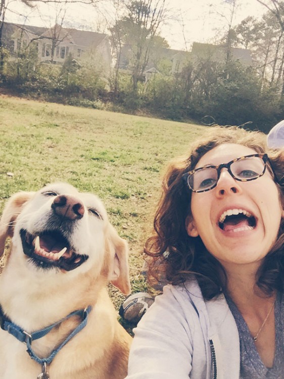 labrador parece ser feliz por pasear