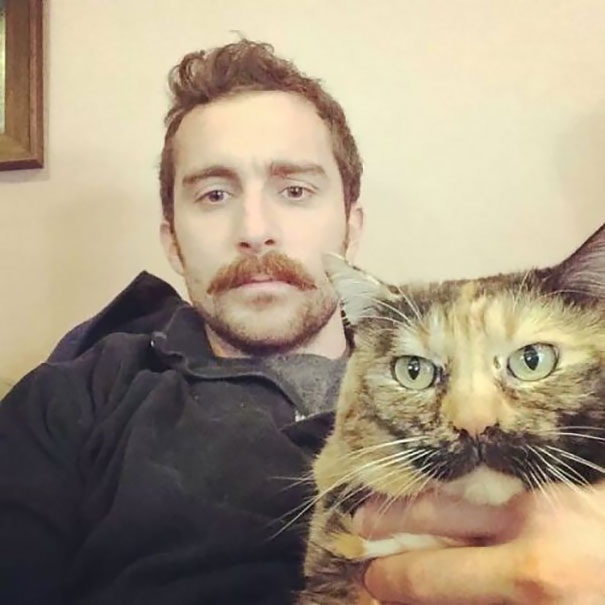gato y dueños bigotones en selfie