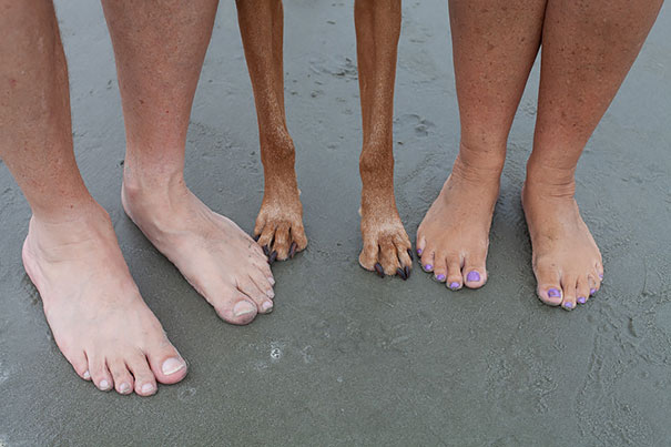 cuatro pies de humanos y dos patas de perro sobre la arena del mar