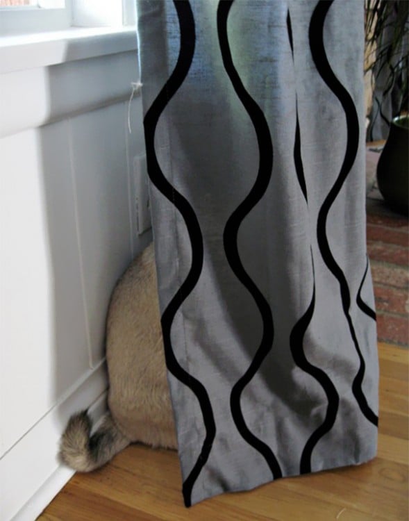 perro escondido en las cortinas