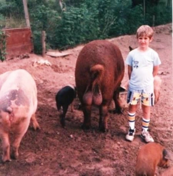 niño le toman foto a un lado de los cerdos enormes
