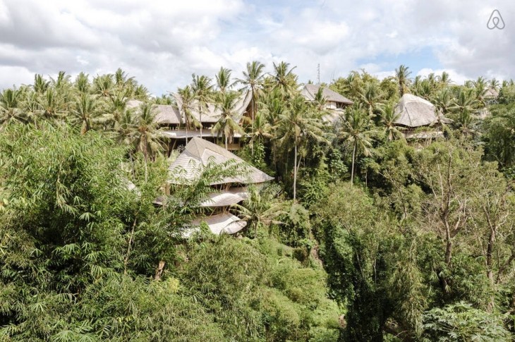 hotel en la selva
