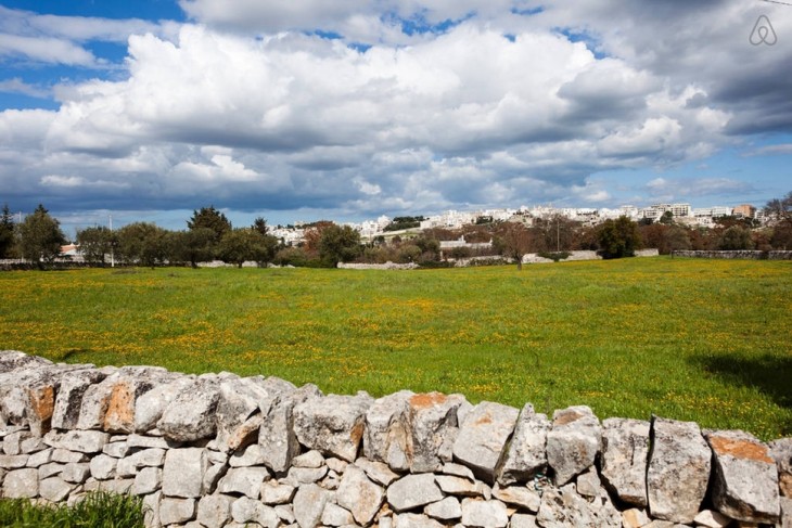 paisaje con muro hecho en piedra